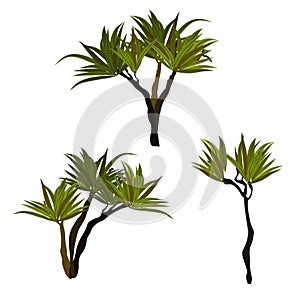 Prehistoric flora. Palm. Mesozoic or Paleozoic. Vector illustration photo